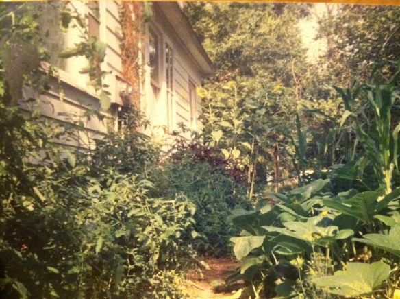 The old Cottage Avenue house and garden