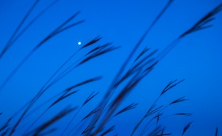 September - "Universe" of a full moon in a bluestem prairie.